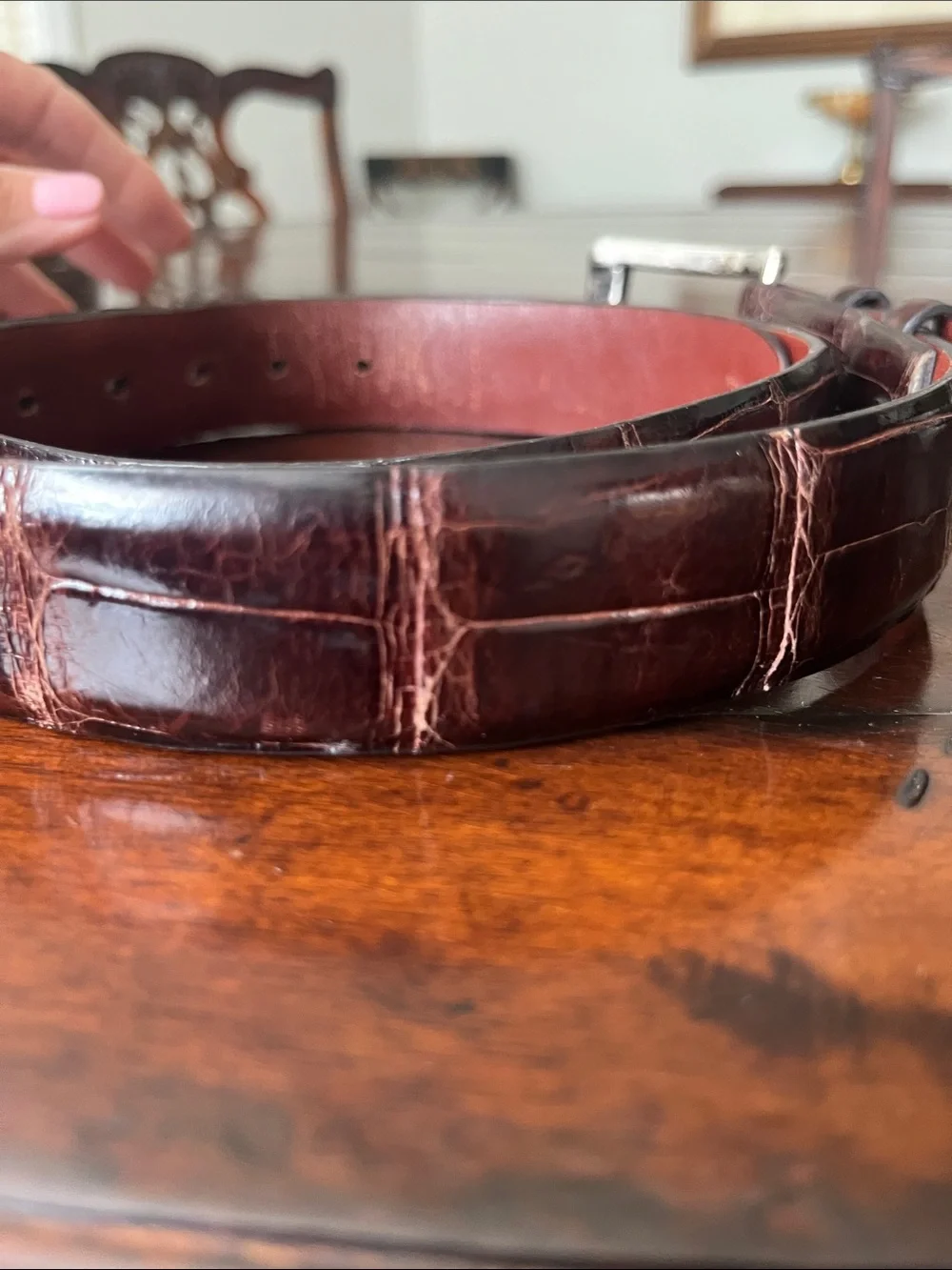 Men's American alligator Belt with Polished Silver Buckle